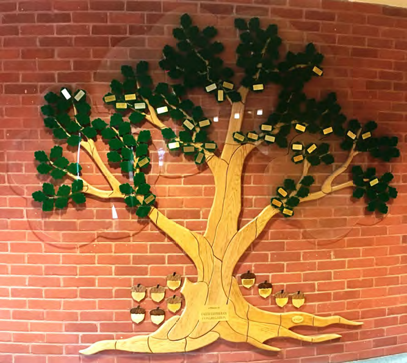 Photo of donor tree at RPG