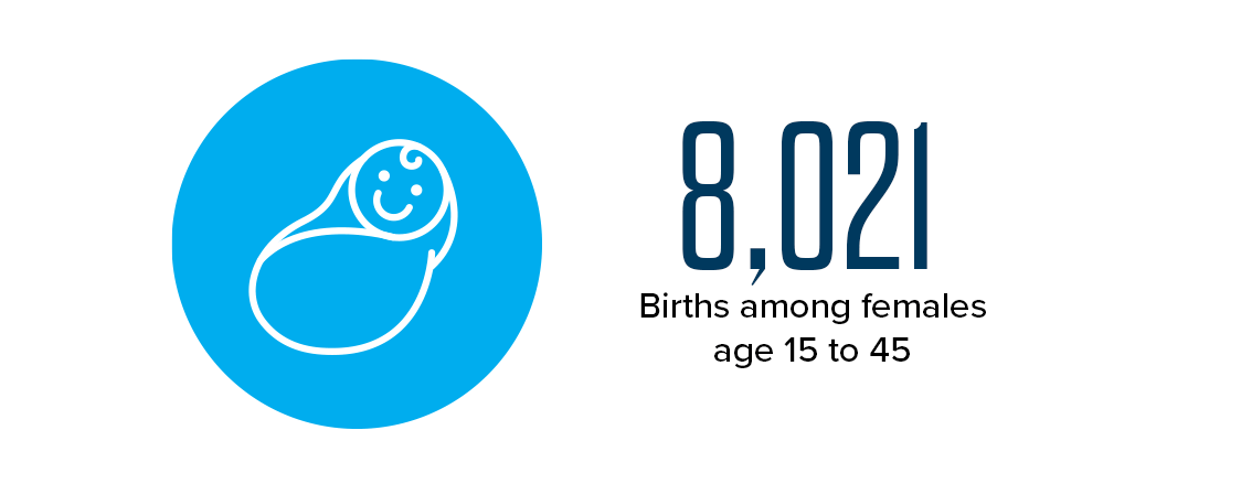 8,021 - Births among females age 15 to 45